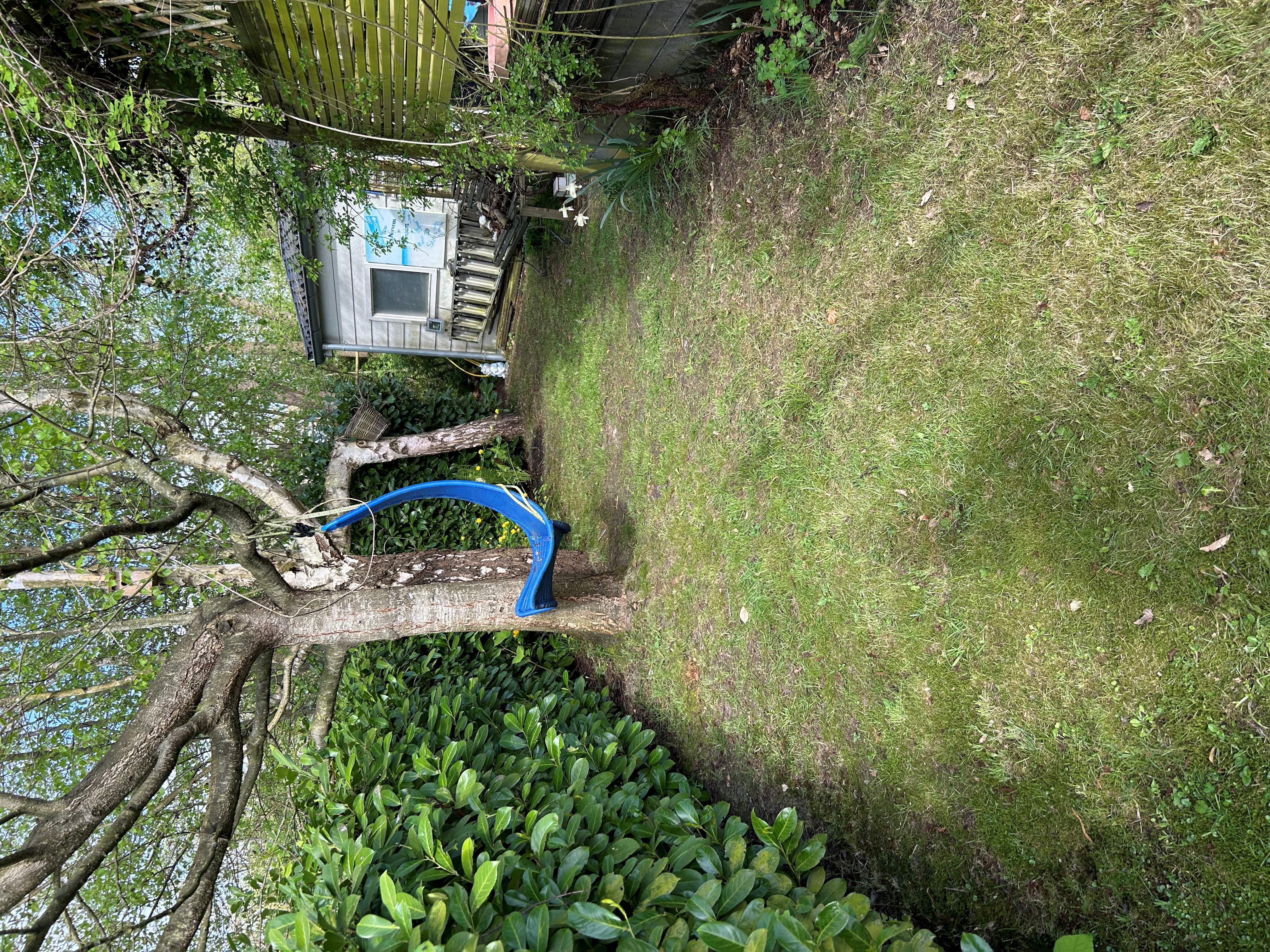 tuin3.JPG