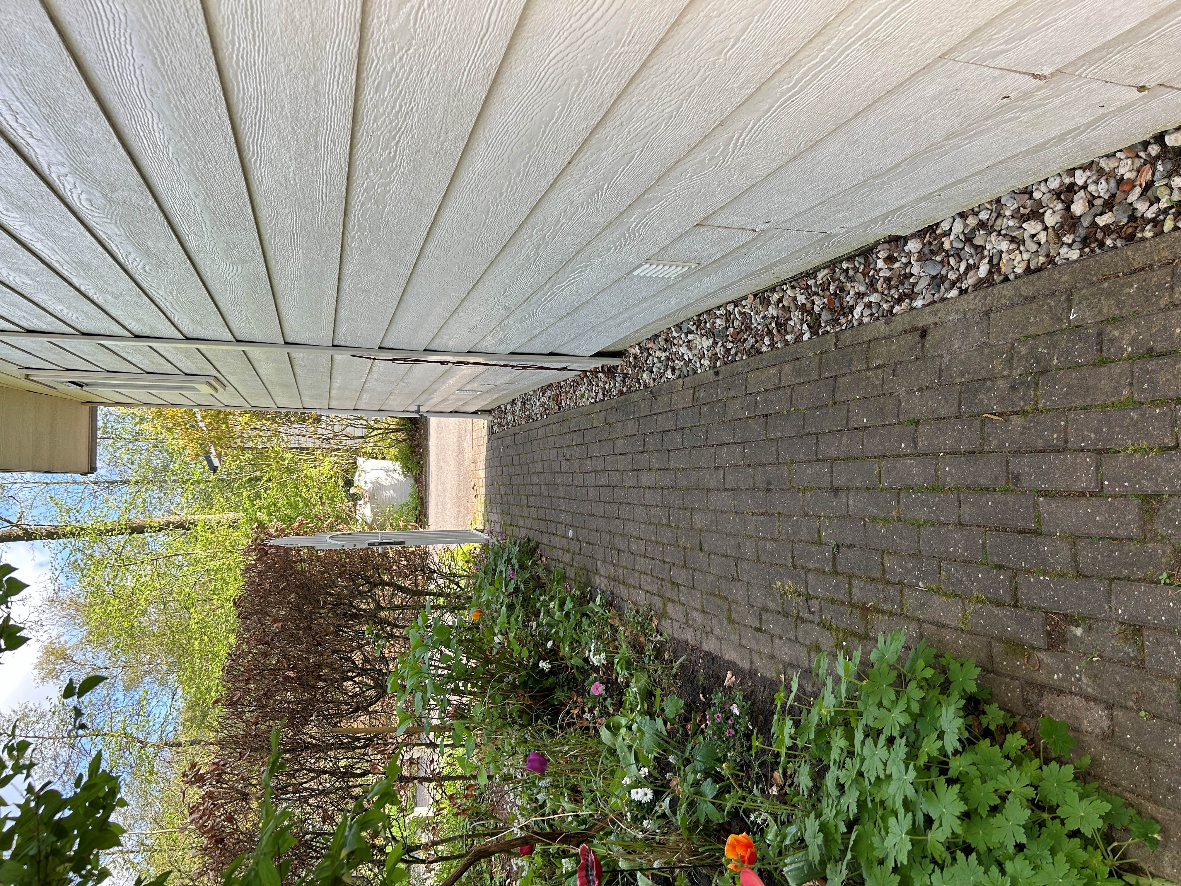 tuin2.JPG