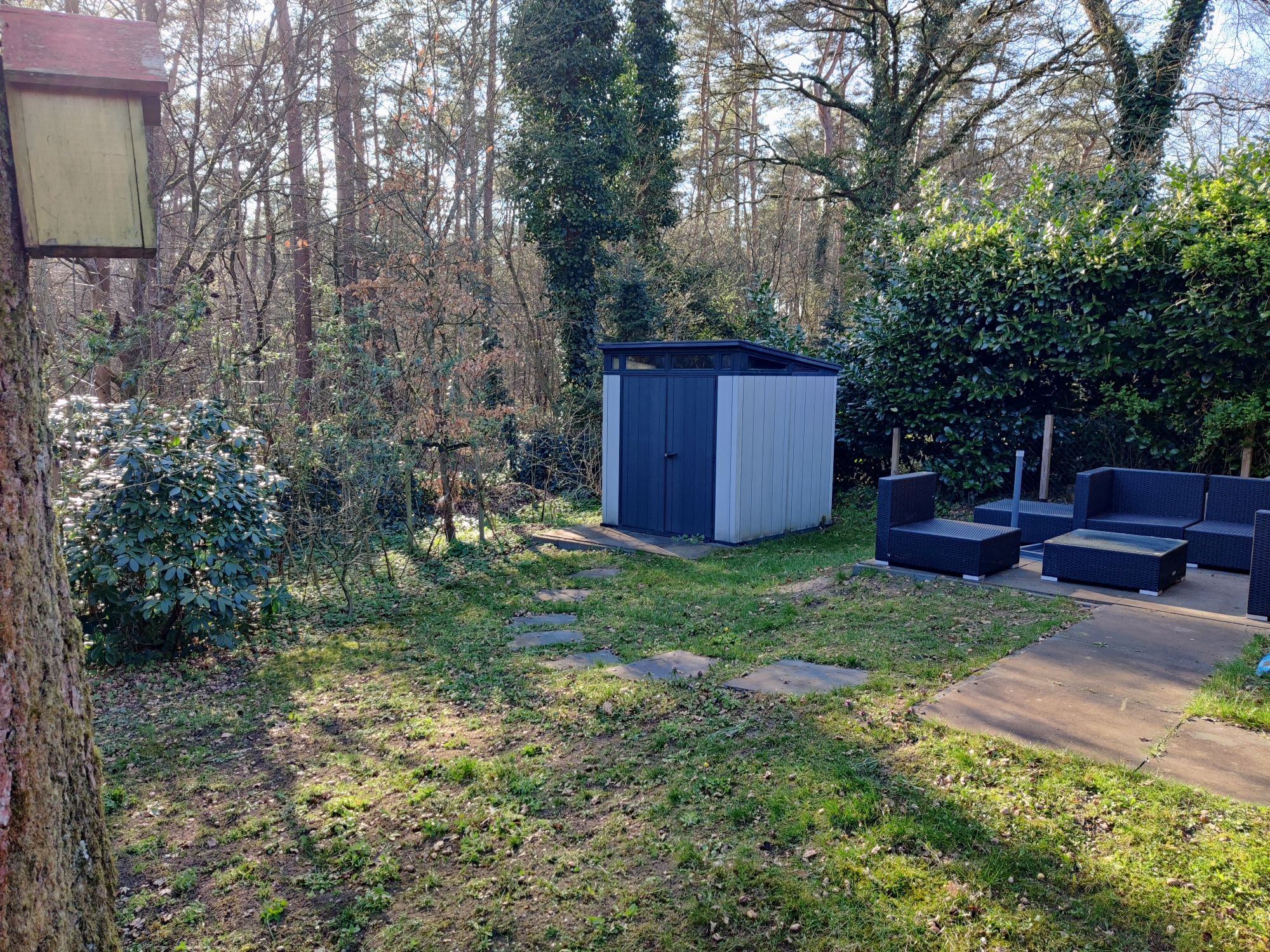 tuin2.jpg