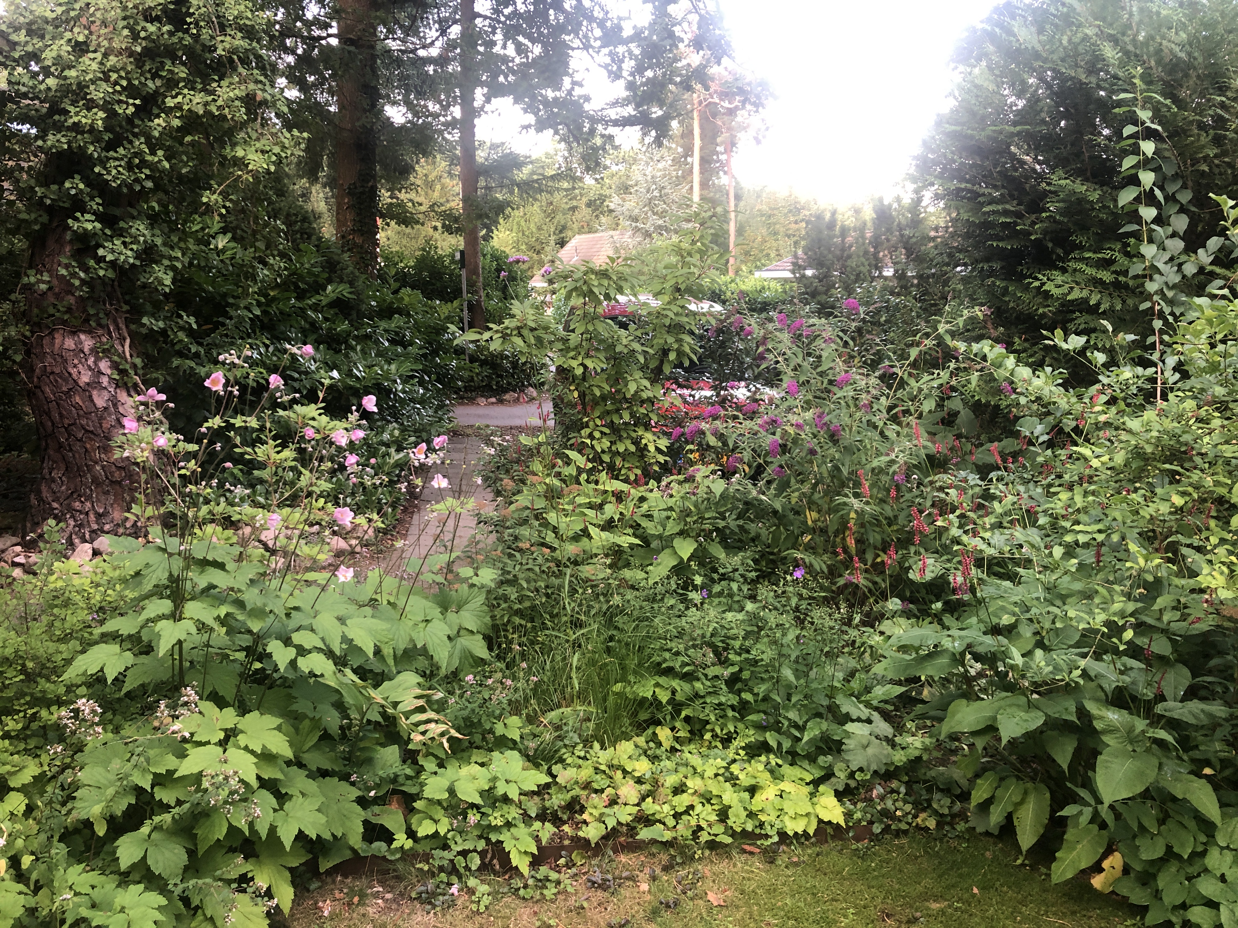 IMG_9243.JPG
