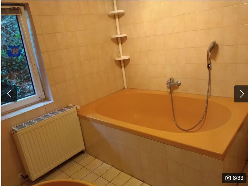 Knipsel 8.JPG
