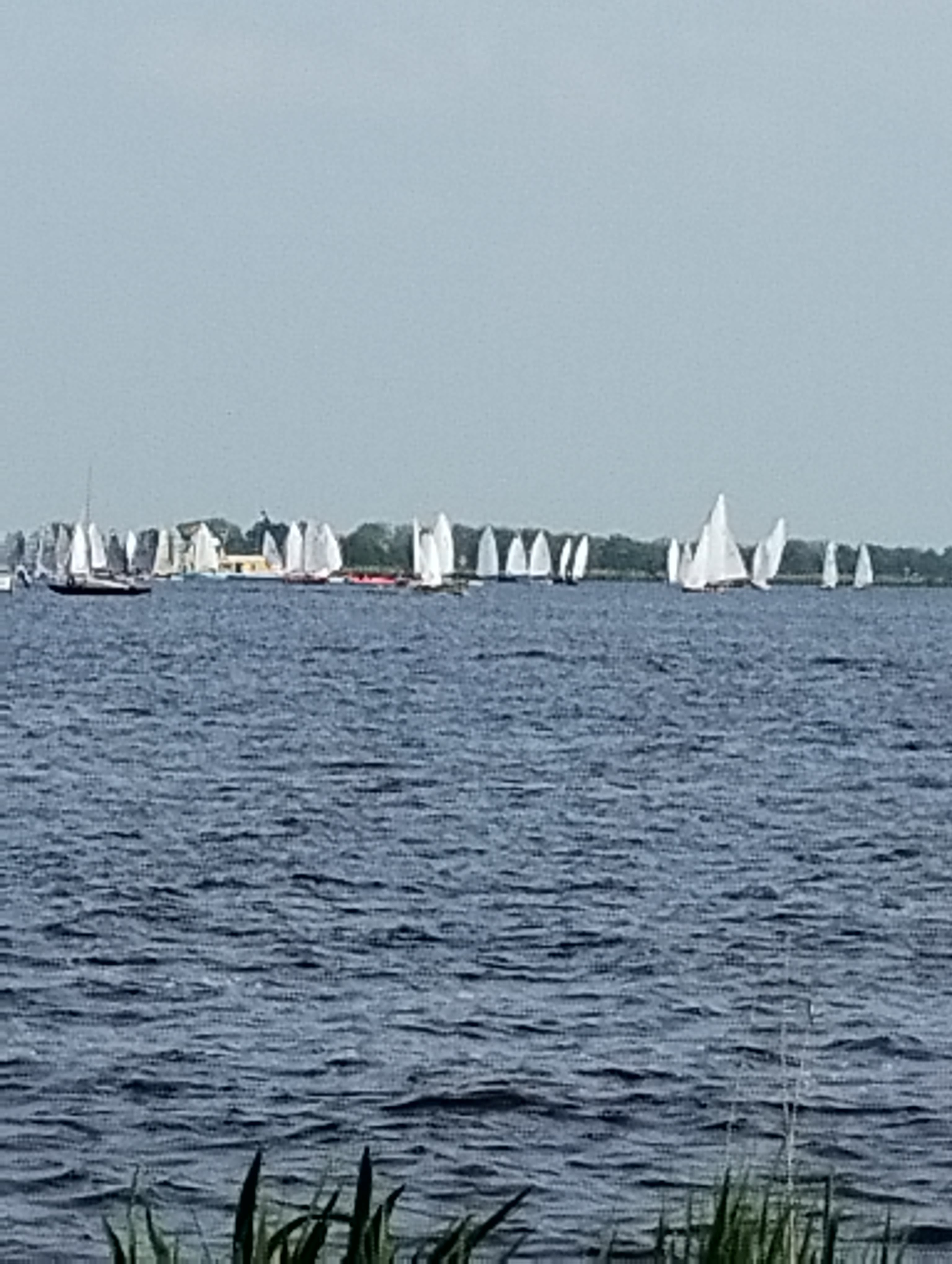 IMG_20240510_154051024.jpg