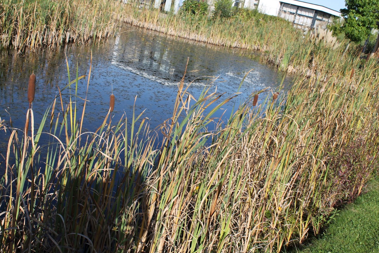 Schermafbeelding 2026-10-05 152453.jpg
