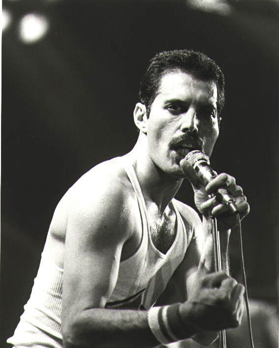 Freddie Mercury