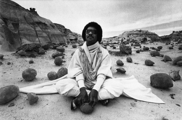 Stevie Wonder