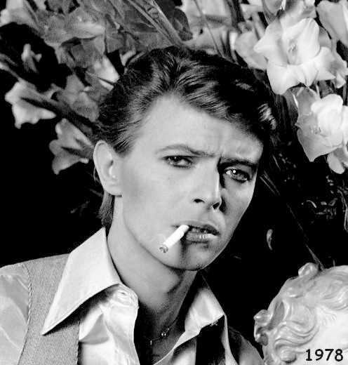 David Bowie