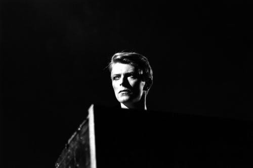 David Bowie