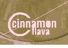 Cinnamon Flava
