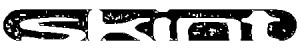 Skint Records
