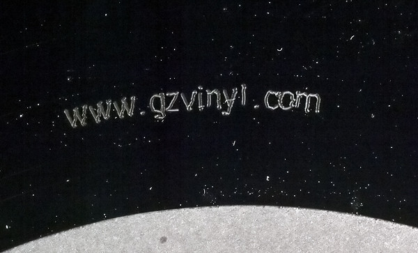 www.gzvinyl.com