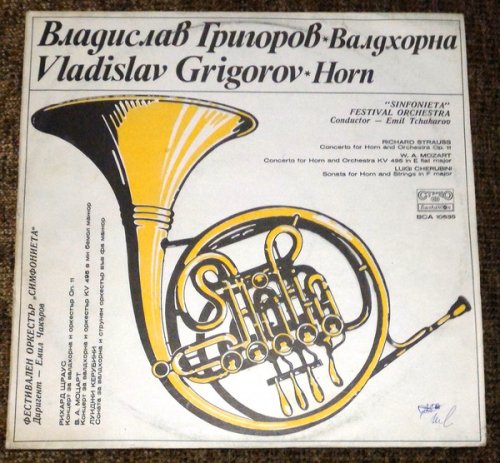 Vladislav Grigorov-Horn