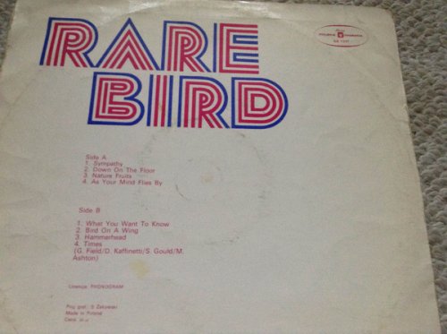 Rare Bird