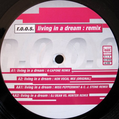 Living In A Dream (Remix)