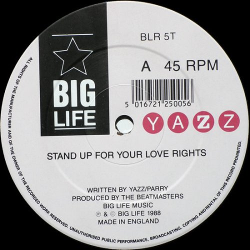 Stand Up For Your Love Rights