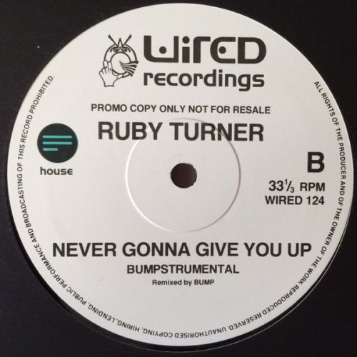Never Gonna Give You Up