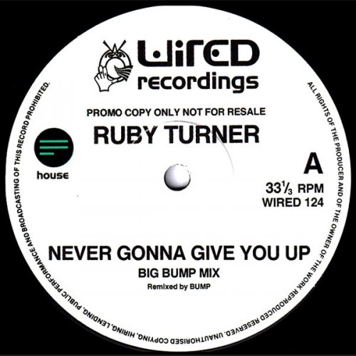 Never Gonna Give You Up