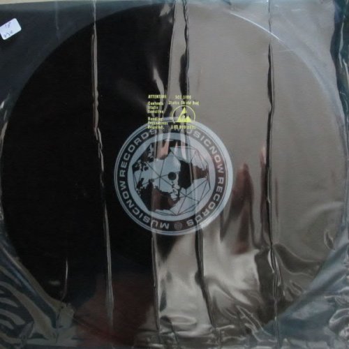 Entropy / Kotex