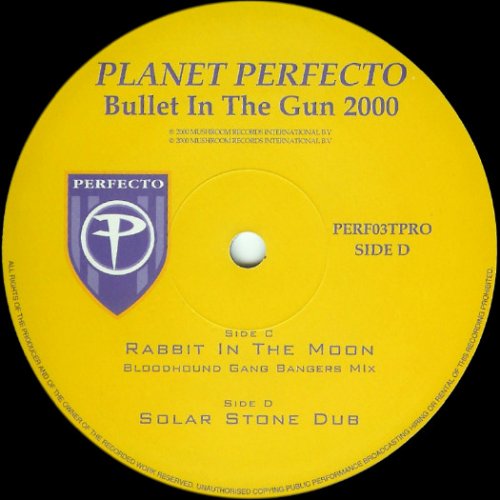 Bullet In The Gun 2000