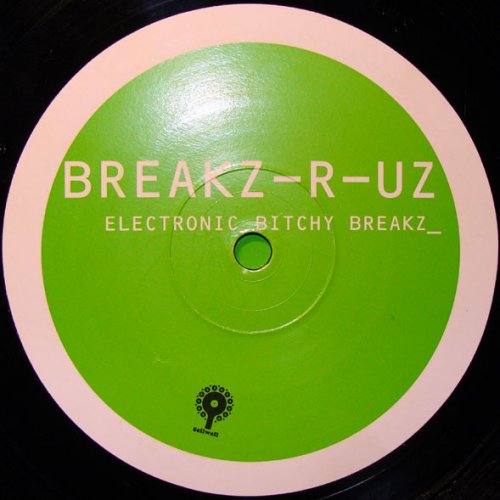 Electronic Bitchy Breakz