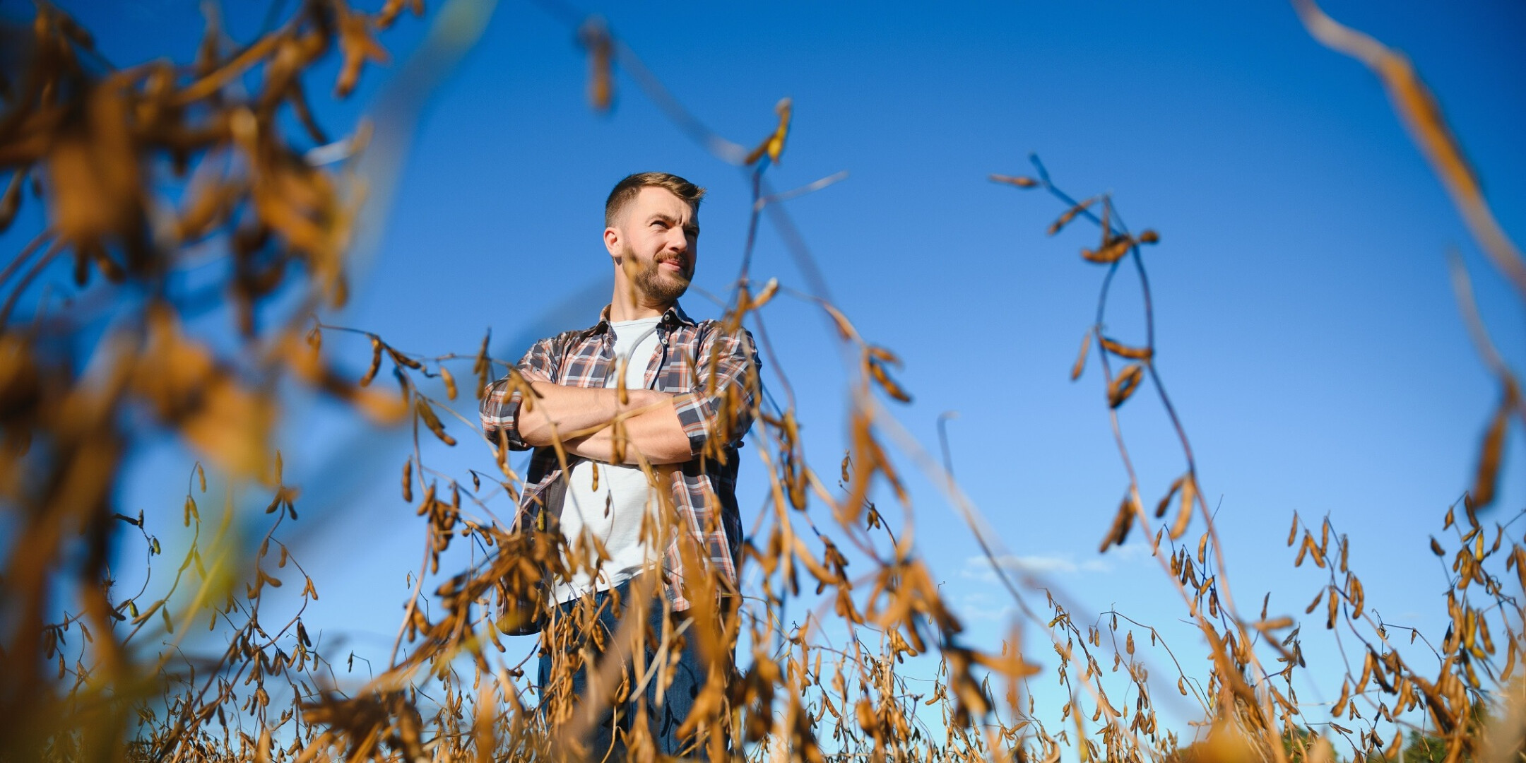 Holistische toetsing schijnzelfstandigheid rechter