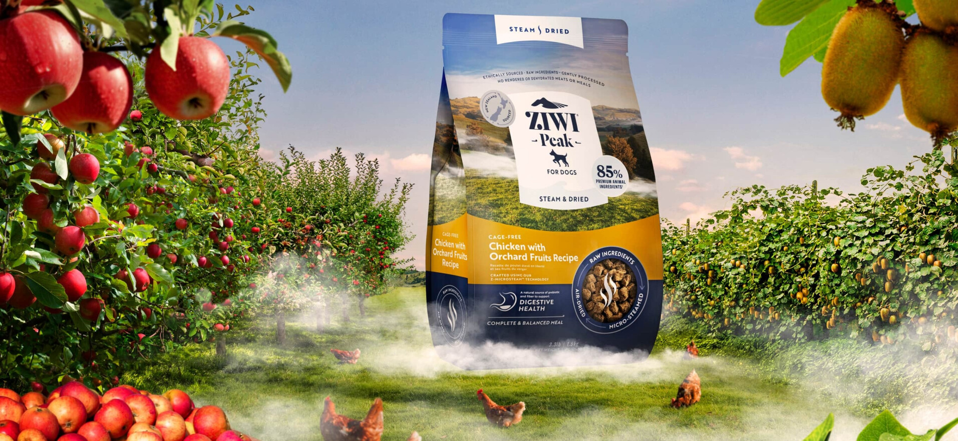 Nouvelle chaîne de production | Ziwi