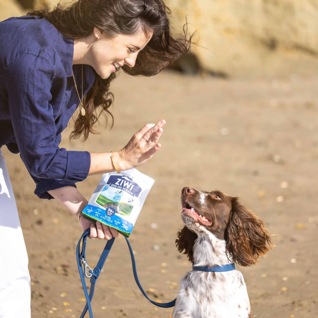 Consiente a tu mascota con alimentos saludables Ziwi