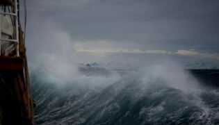 Vaststaan in de storm