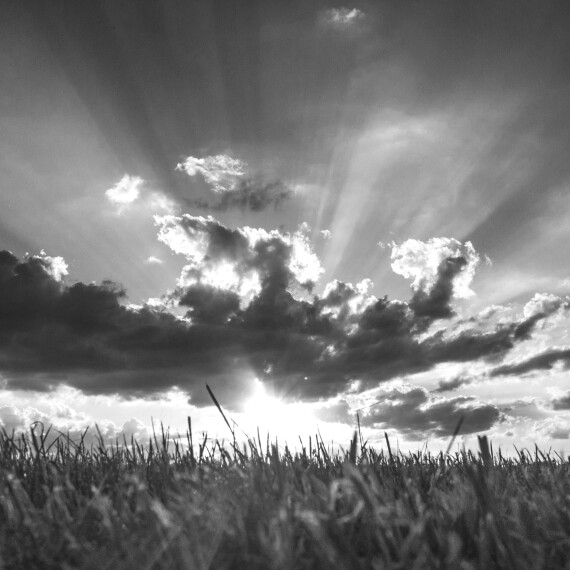 De doodscultus van het vrijwillige levenseinde