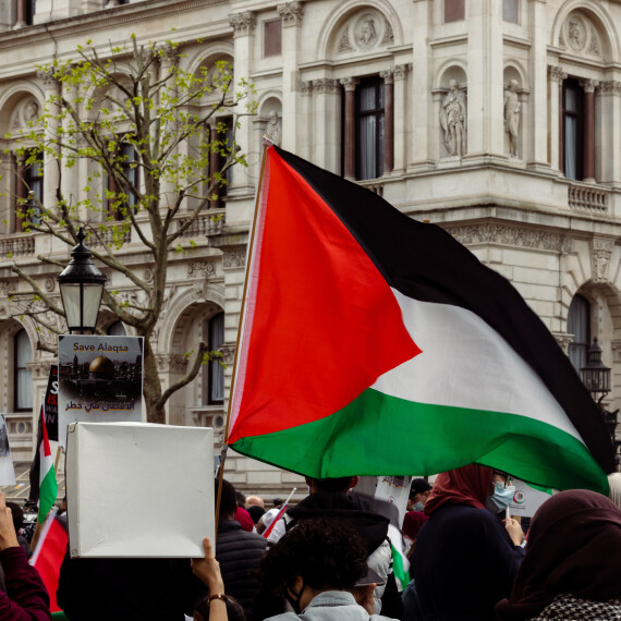 Wat zijn de argumenten van de pro-Palestina beweging?