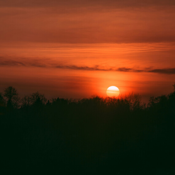 Een Nederlands verhaal in het buitenland
