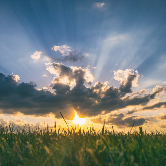 Wat gaan we doen op de Zoeklichtdag? Er zijn nog tickets!