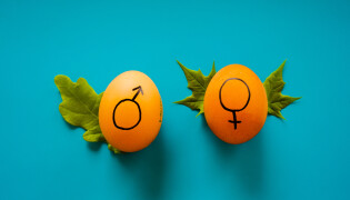 Genderzorg groeit explosief. Dit is de reden