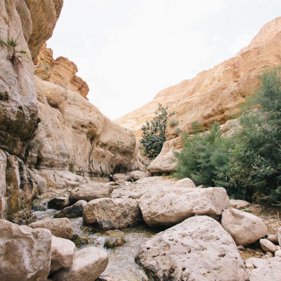 Lofprijs verjaagt de vijand