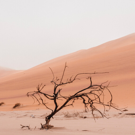 De beginselverklaring van Hamas - rabiate Jodenhaat verpakt in een zionistisch sausje