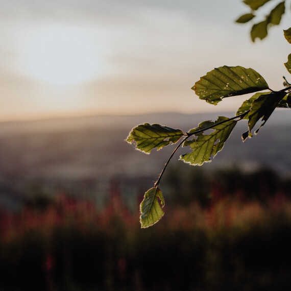 Interreligieuze viering klimaatdemonstratie 12 november