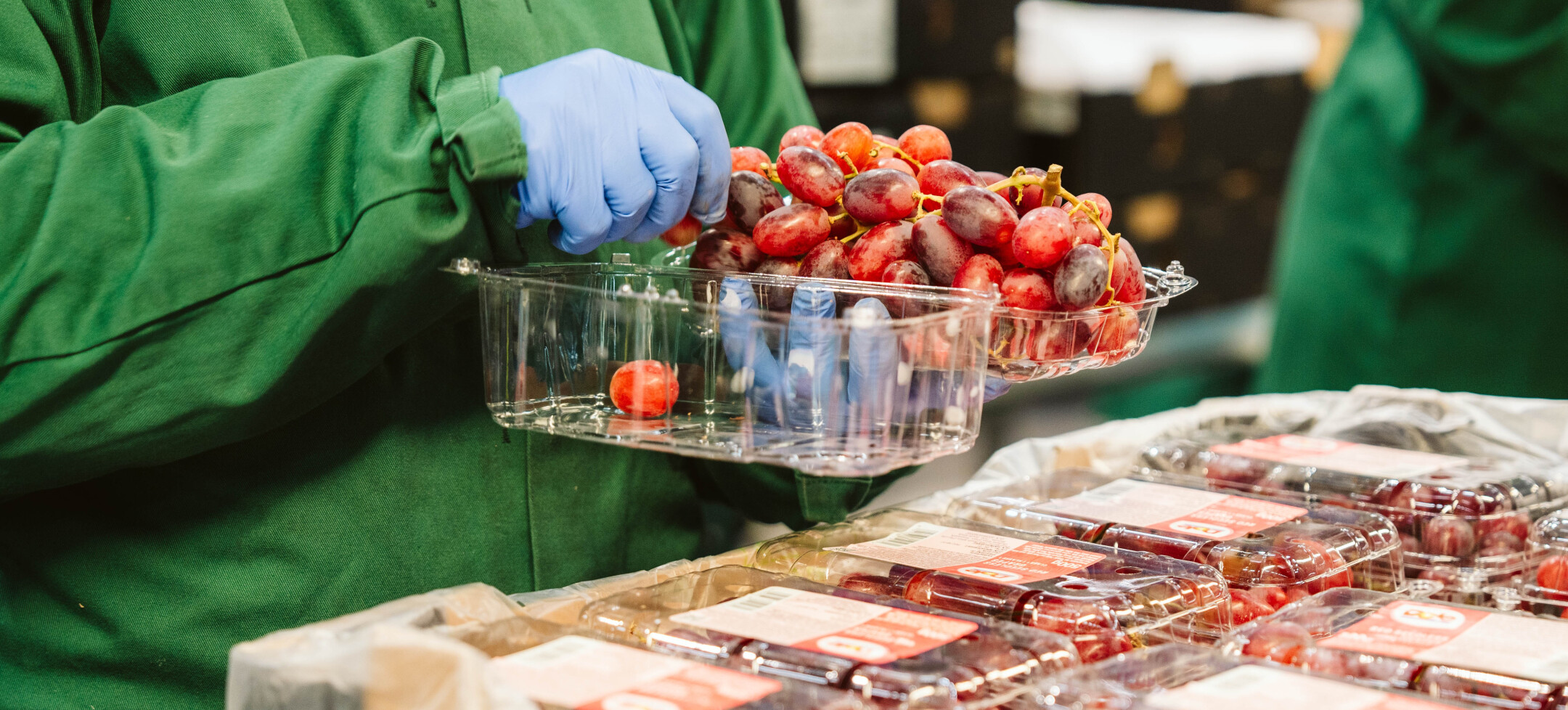 Logistiek Medewerker Fruit