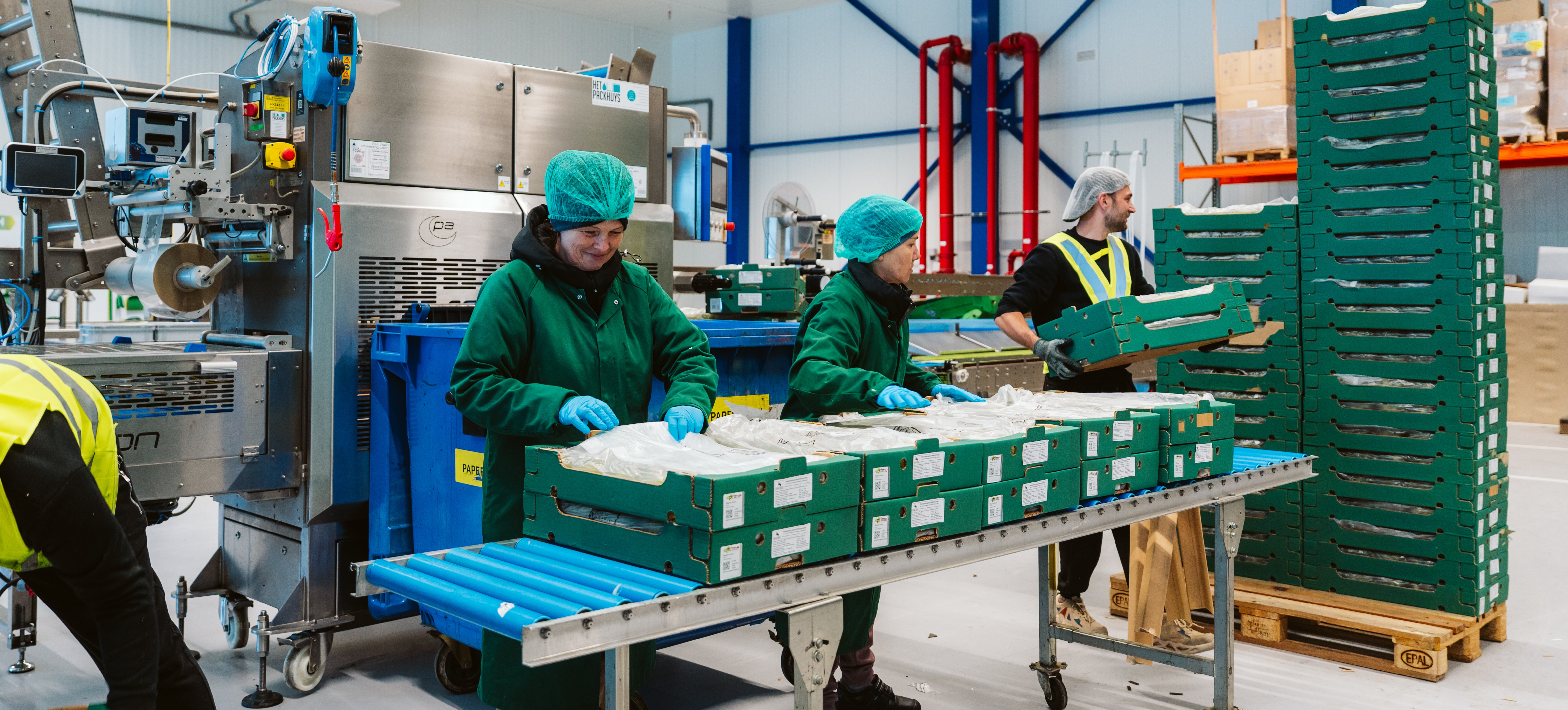 VDH Packing: Ihr Partner für das Verpacken und Umpacken von Obst