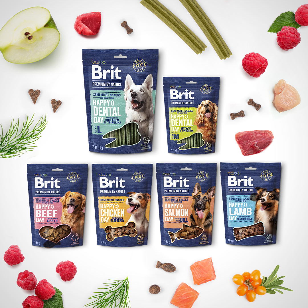 Každý den může být radostný s novými prémiovými pamlsky
Brit Premium by Nature!