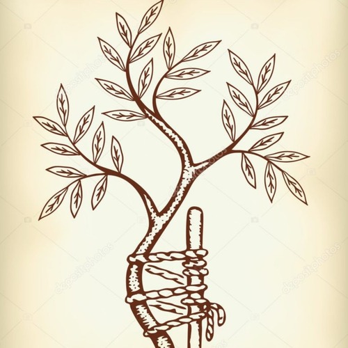 Нікітін Владислав Володимирович