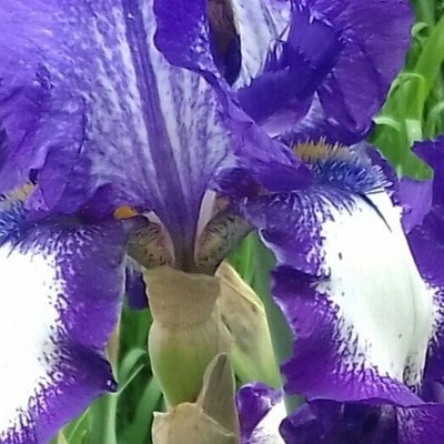 Ткач Зоя Іванівна