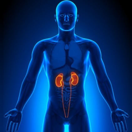 Сисак Артем Сергійович