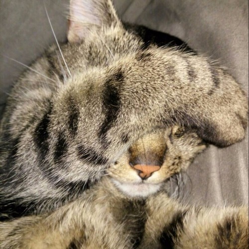 Соколовський Ігор Михайлович