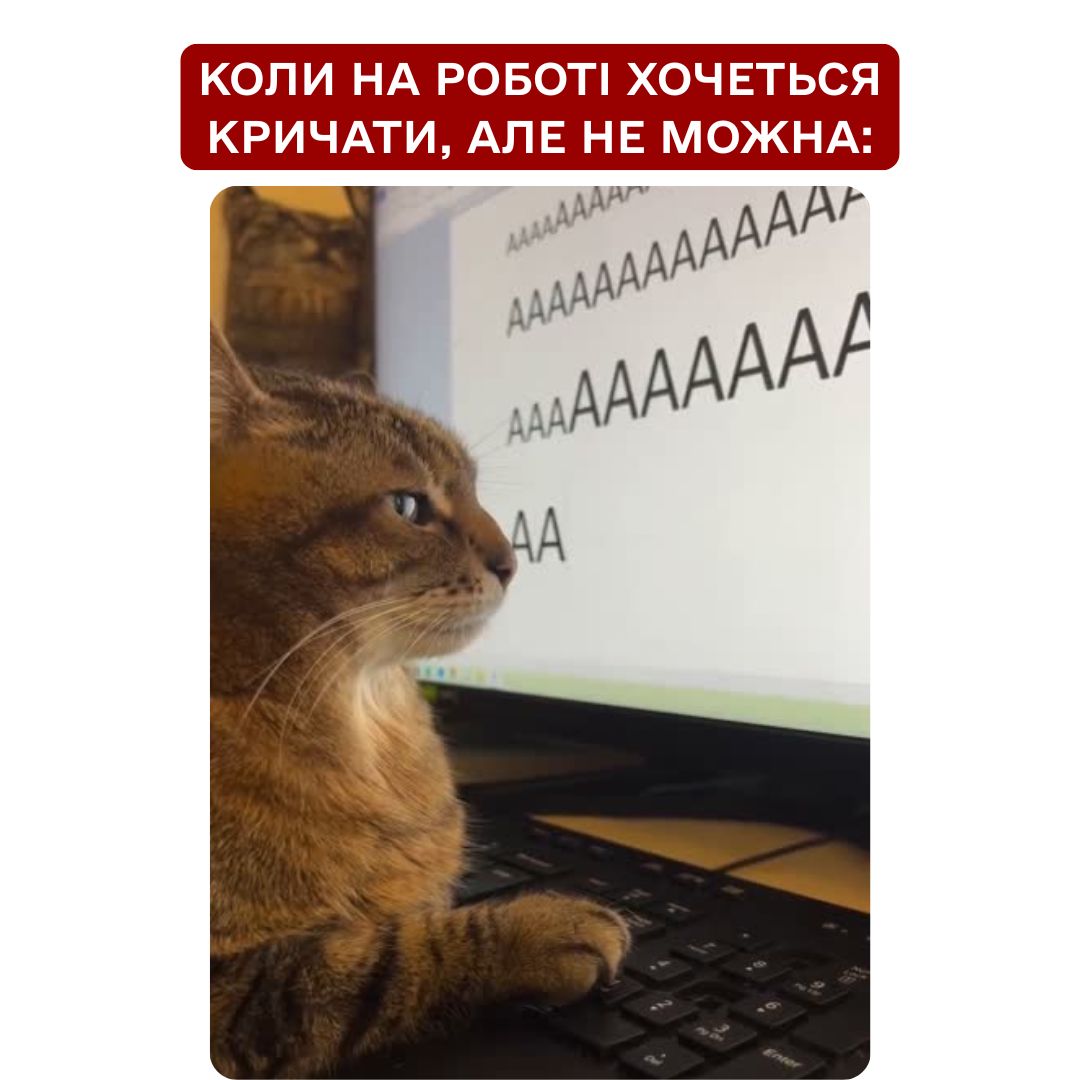 Хочеться кричати...