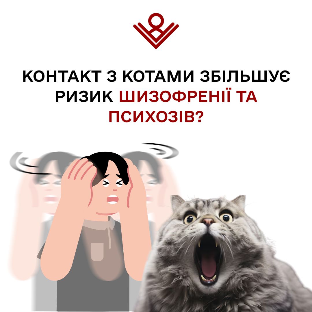 Коти та шизофренія