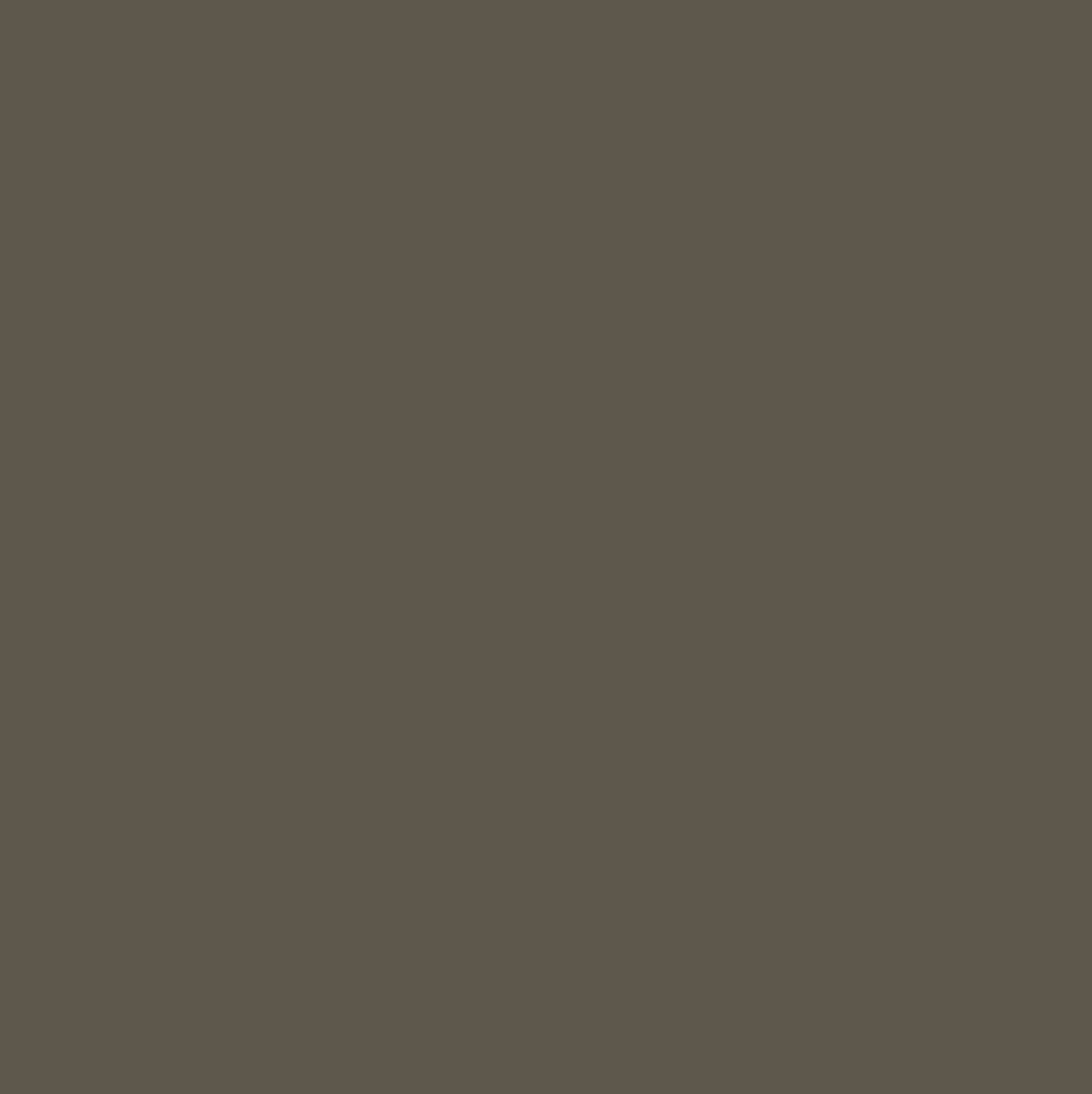 Sun Bleached Taupe
