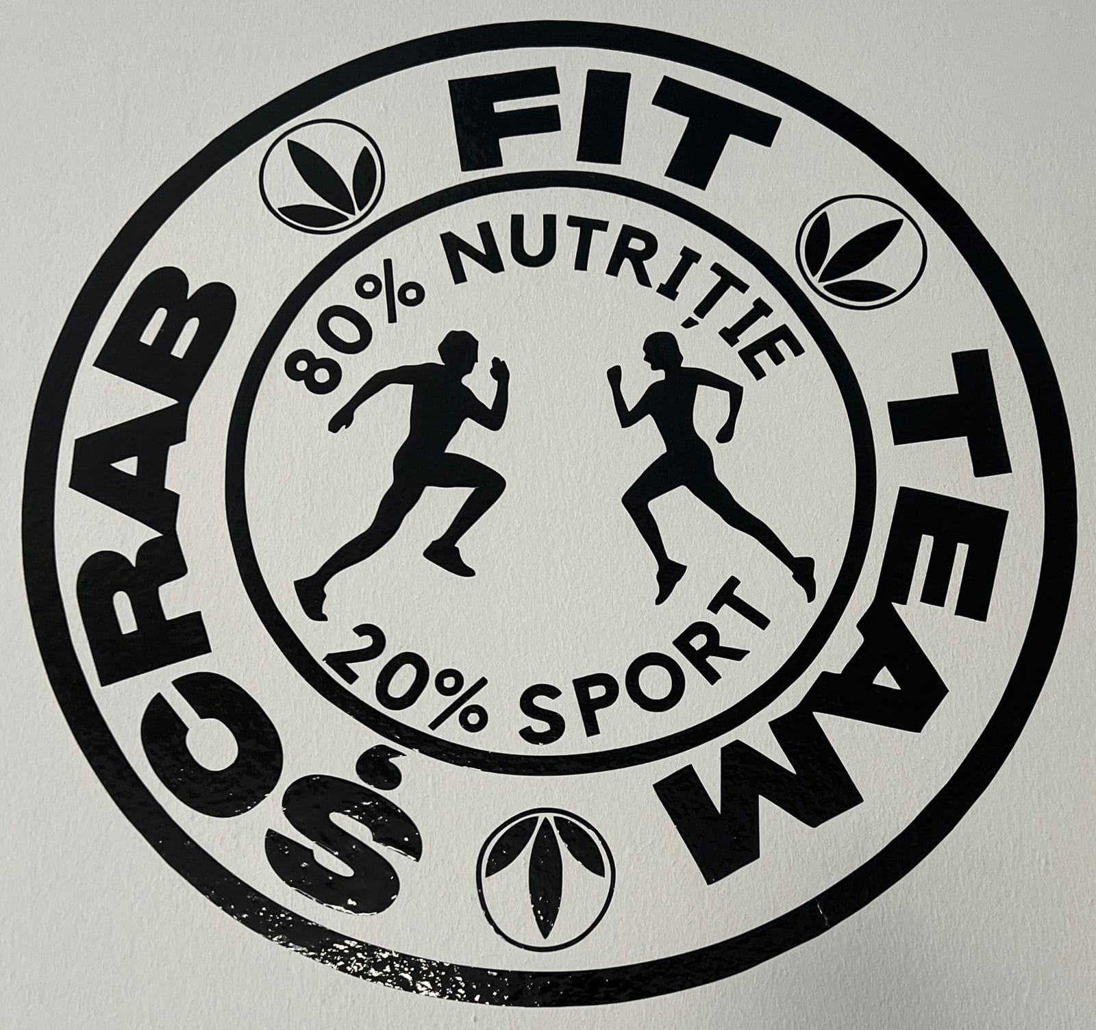 Logo Scrabfitteam