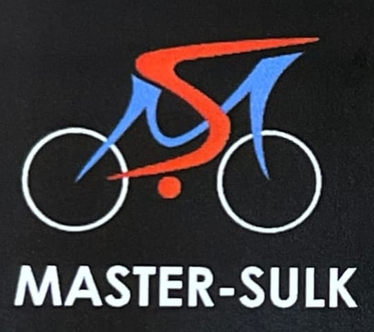 Logo Master-Șulk