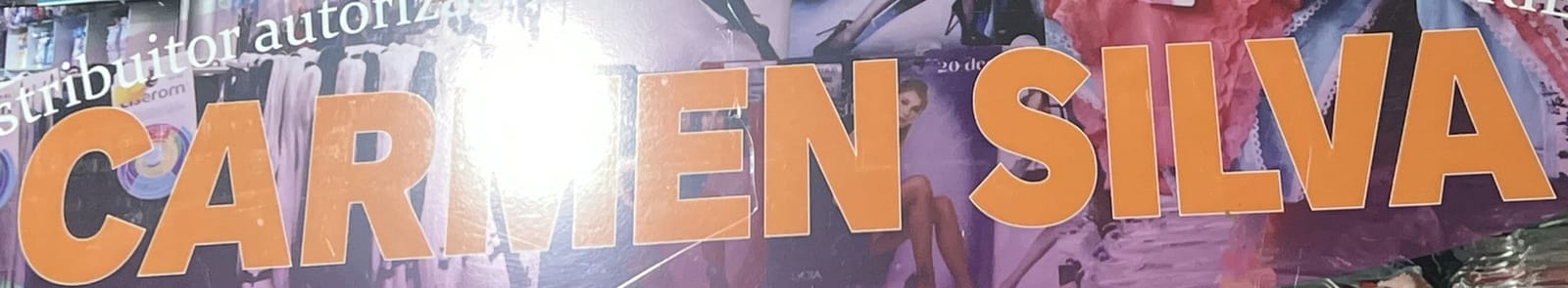 Logo Carmen Silva