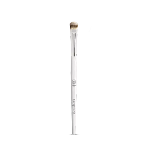 RAYsistant Eyeshadow Brush