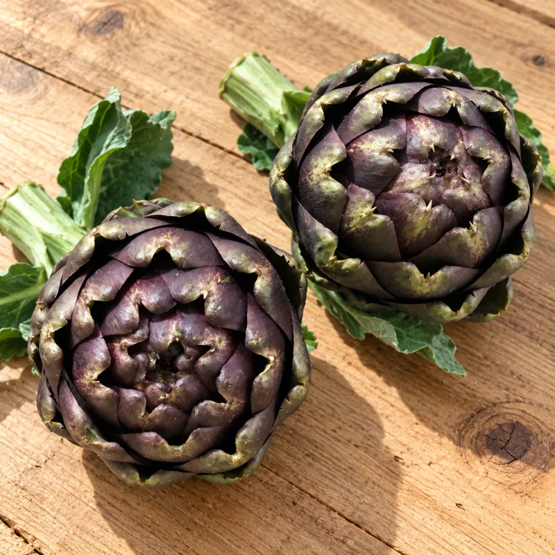Артишоки 2 штуки сорта Romanesca